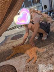 三条デリヘル新潟三条燕ちゃんこ(ニイガタサンジョウツバメチャンコ) しおり(44)の7月30日写メブログ「トラちゃん」