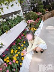 三条デリヘル新潟三条燕ちゃんこ(ニイガタサンジョウツバメチャンコ) しおり(44)の4月12日写メブログ「フローレス3号室のお客様へ」