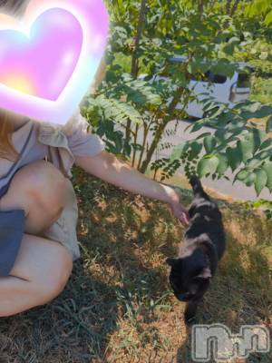 三条デリヘル 新潟三条燕ちゃんこ(ニイガタサンジョウツバメチャンコ) しおり(44)の8月3日写メブログ「くろちゃん」
