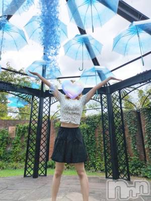 サマーディスプレイinしおり