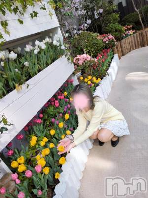 三条デリヘル 新潟三条燕ちゃんこ(ニイガタサンジョウツバメチャンコ) しおり(44)の4月12日写メブログ「フローレス3号室のお客様へ」