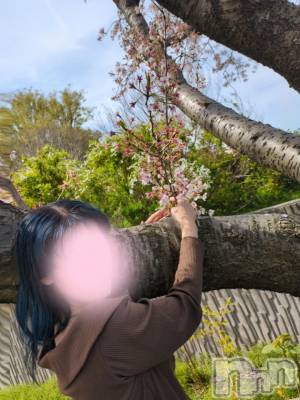 三条デリヘル 新潟三条燕ちゃんこ(ニイガタサンジョウツバメチャンコ) しおり(44)の4月17日写メブログ「AQA、516号室のお客様へ」