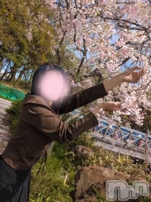 三条デリヘル 新潟三条燕ちゃんこ(ニイガタサンジョウツバメチャンコ) しおり(44)の4月20日写メブログ「フローレス8号室のお客様へ」