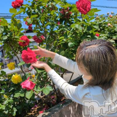 三条デリヘル 新潟三条燕ちゃんこ(ニイガタサンジョウツバメチャンコ) しおり(44)の5月24日写メブログ「K-1、506号室のお客様へ」