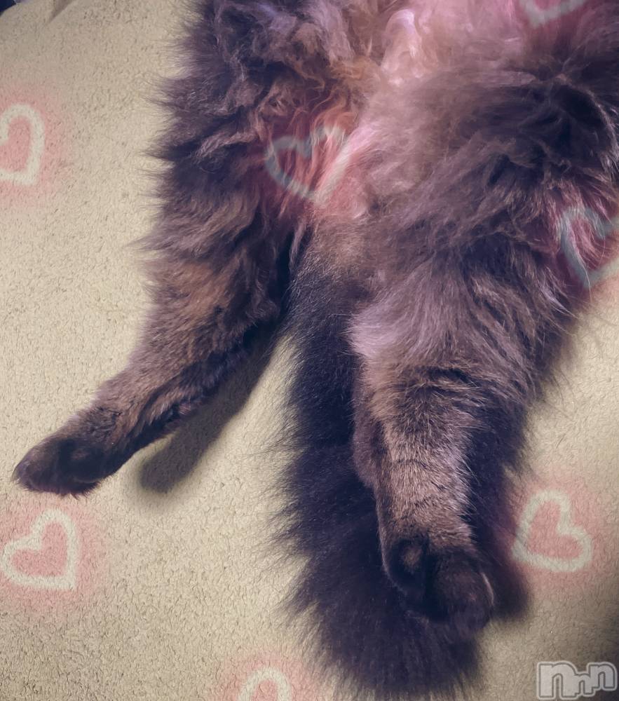 ��ë����Х��顦�����CLUB��Paladin(����֡��ѥ�ǥ���) ��������6��30���̥�֥����֤����🐾��