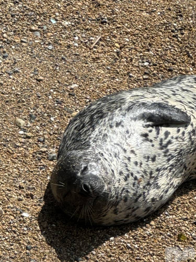 ��ë����Х��顦�����CLUB��Paladin(����֡��ѥ�ǥ���) ��������6��14���̥�֥�����☀️��