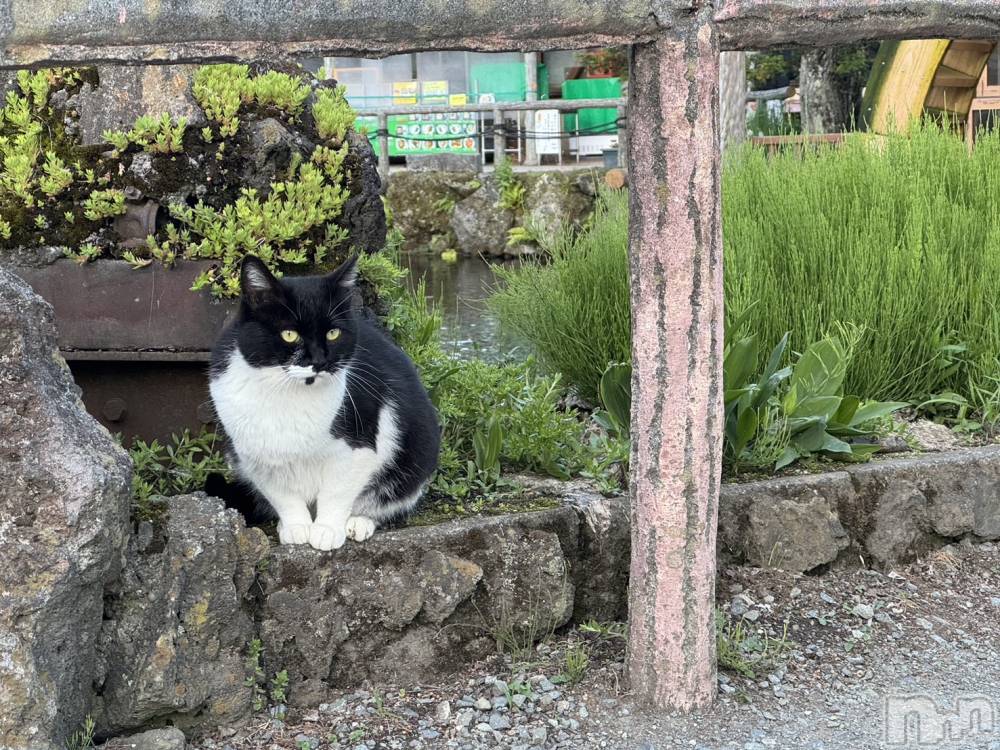 ��ë����Х��顦�����CLUB��Paladin(����֡��ѥ�ǥ���) ��������6��16���̥�֥�����❁⃘*.�ߡ�