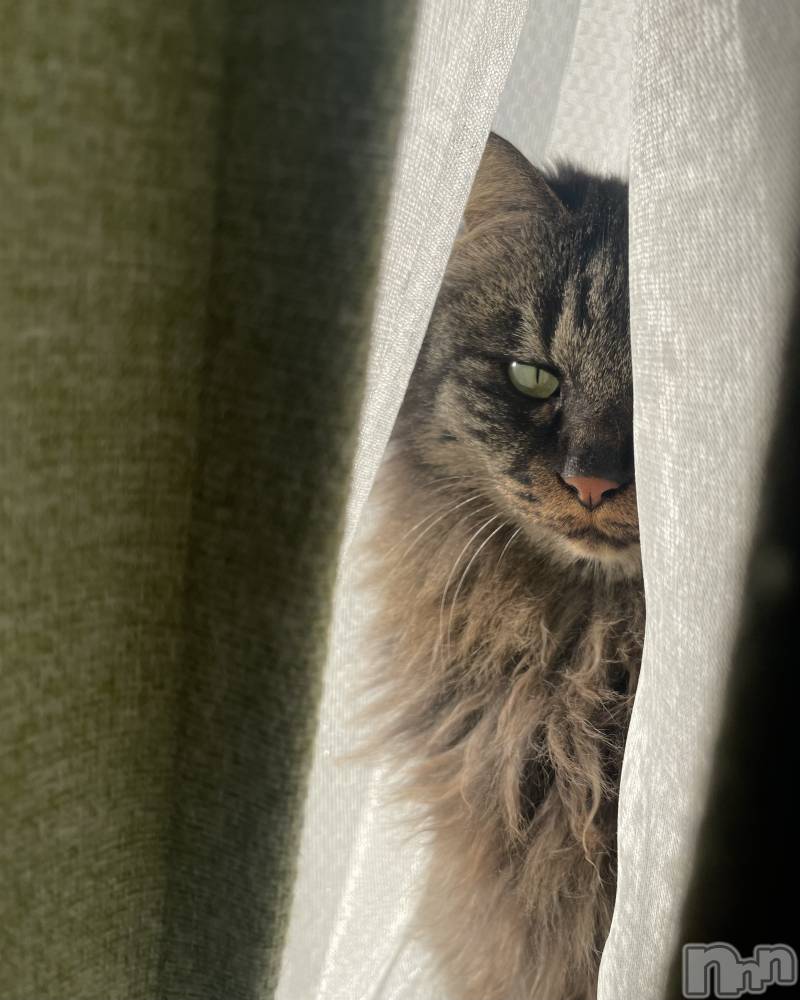 ��ë����Х��顦�����CLUB��Paladin(����֡��ѥ�ǥ���) ��������6��23���̥�֥�����6��23�� 22��52ʬ�Υ֥�����