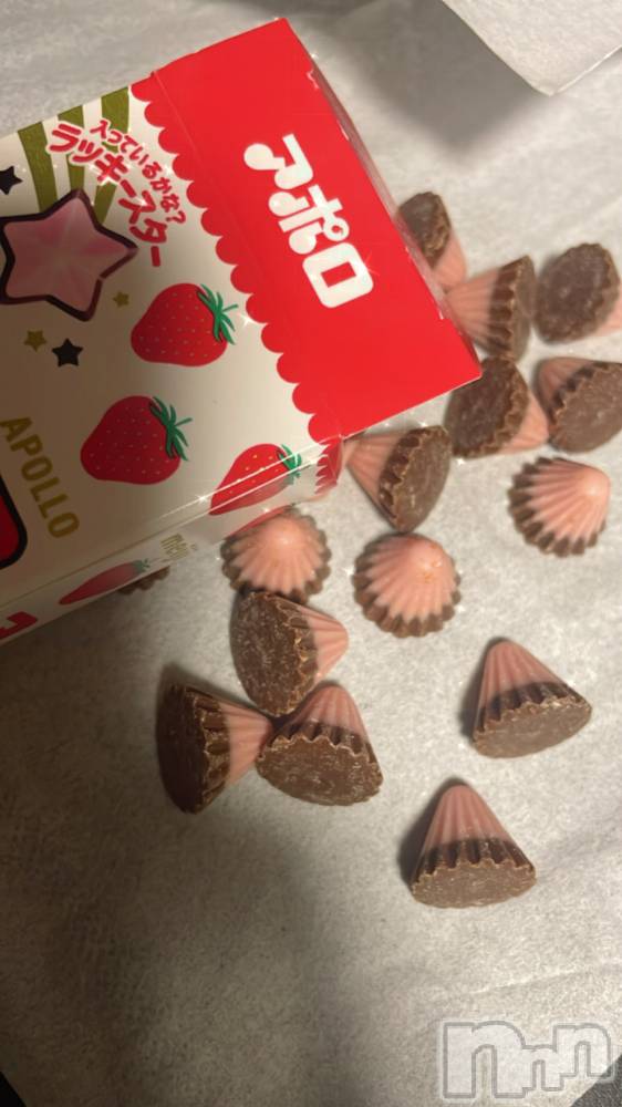 ��ë����Х��顦�����CLUB��Paladin(����֡��ѥ�ǥ���) ��������11��4���̥�֥�����🩷🩶��