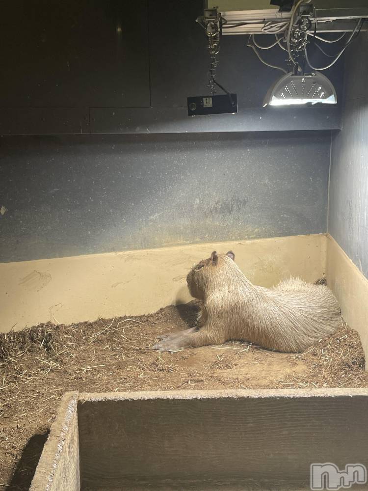 ��ë����Х��顦�����CLUB��Paladin(����֡��ѥ�ǥ���) ��������1��3���̥�֥�����🎍🌅🎍��