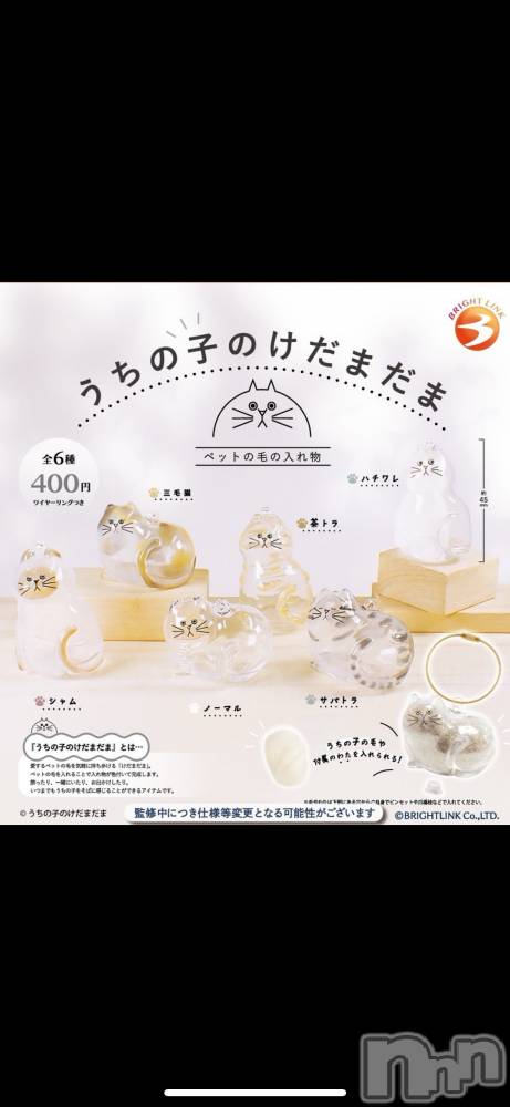 ��ë����Х��顦�����CLUB��Paladin(����֡��ѥ�ǥ���) ��������2��7���̥�֥�����🐱ྀི🐱ྀི🐱ྀི��