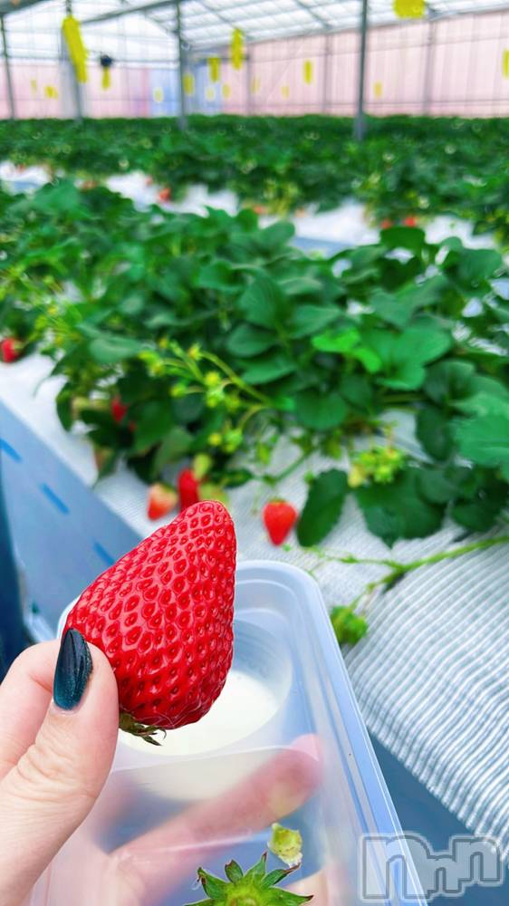 ��ë����Х��顦�����CLUB��Paladin(����֡��ѥ�ǥ���) ��������3��13���̥�֥�����🚶🍓��