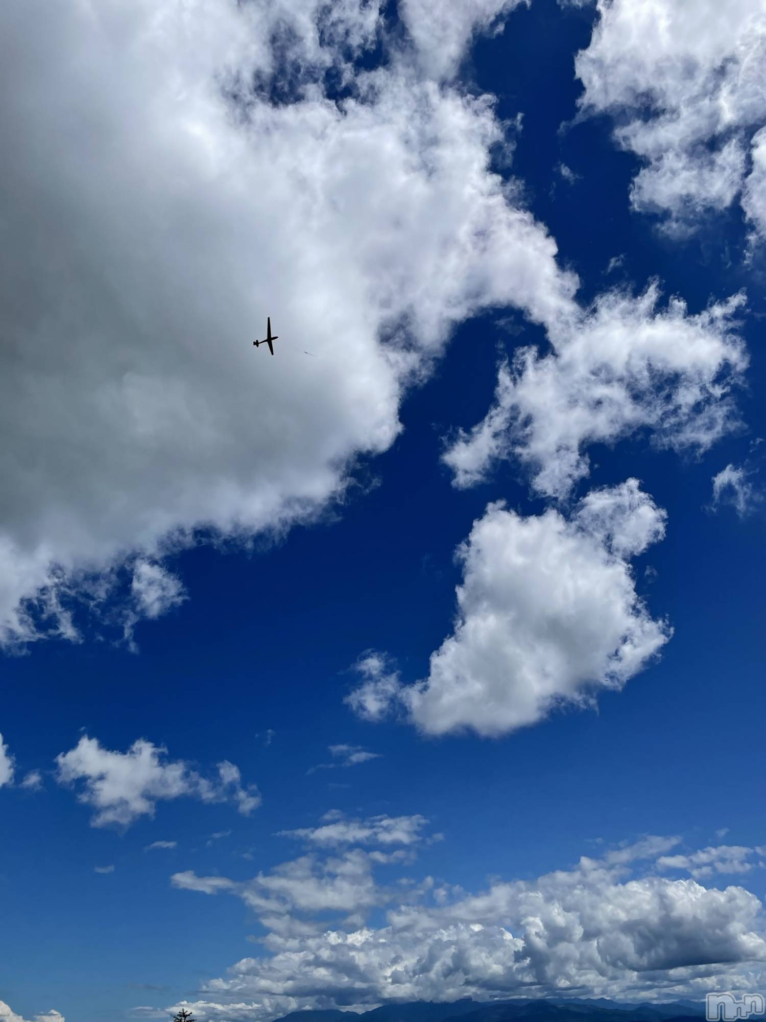 ��ë����Х��顦�����CLUB��Paladin(����֡��ѥ�ǥ���) ��2023ǯ6��9���̥�֥����֤���������ꤤ���ޤ�😊��