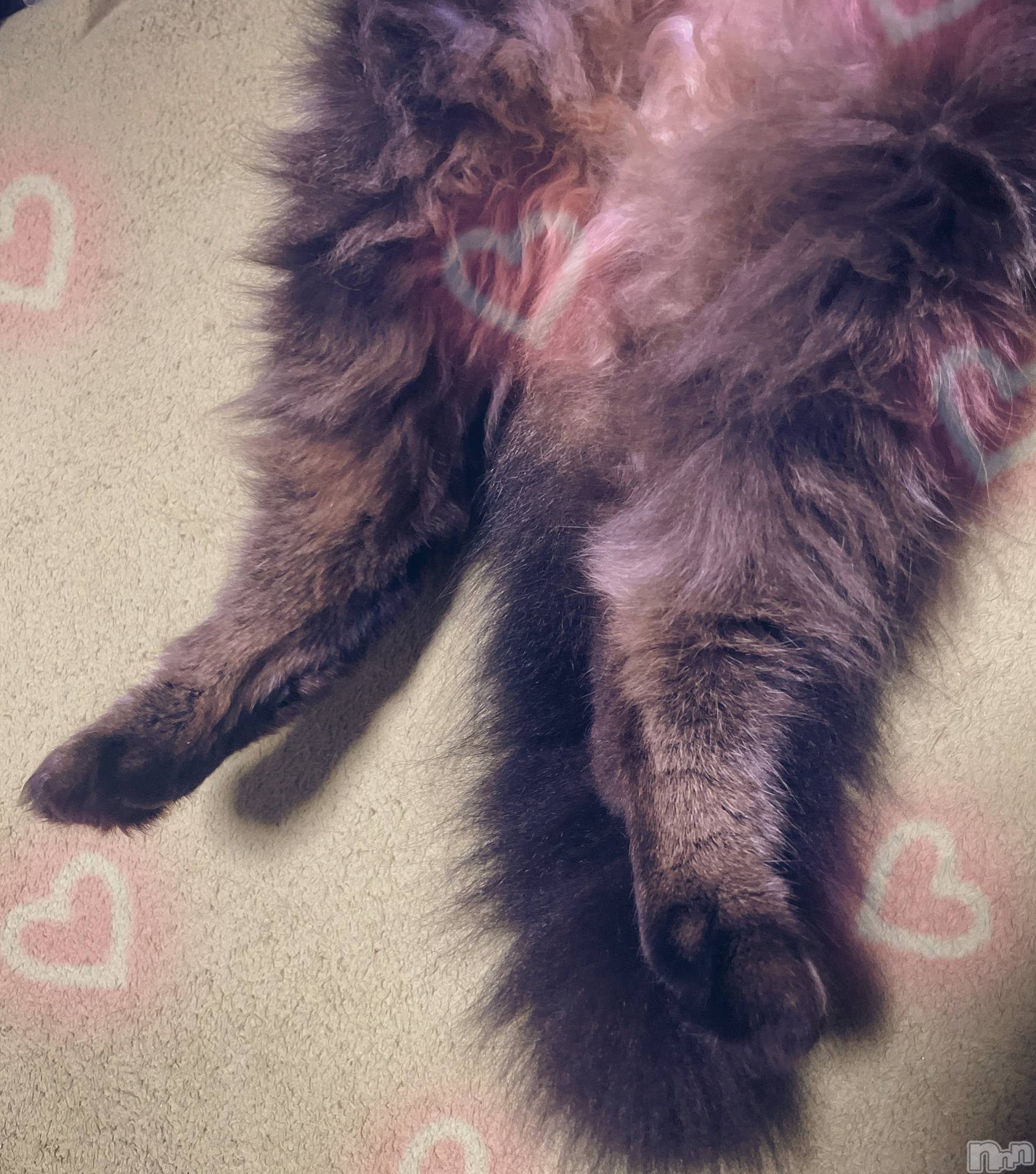 ��ë����Х��顦�����CLUB��Paladin(����֡��ѥ�ǥ���) ��2023ǯ6��30���̥�֥����֤����🐾��