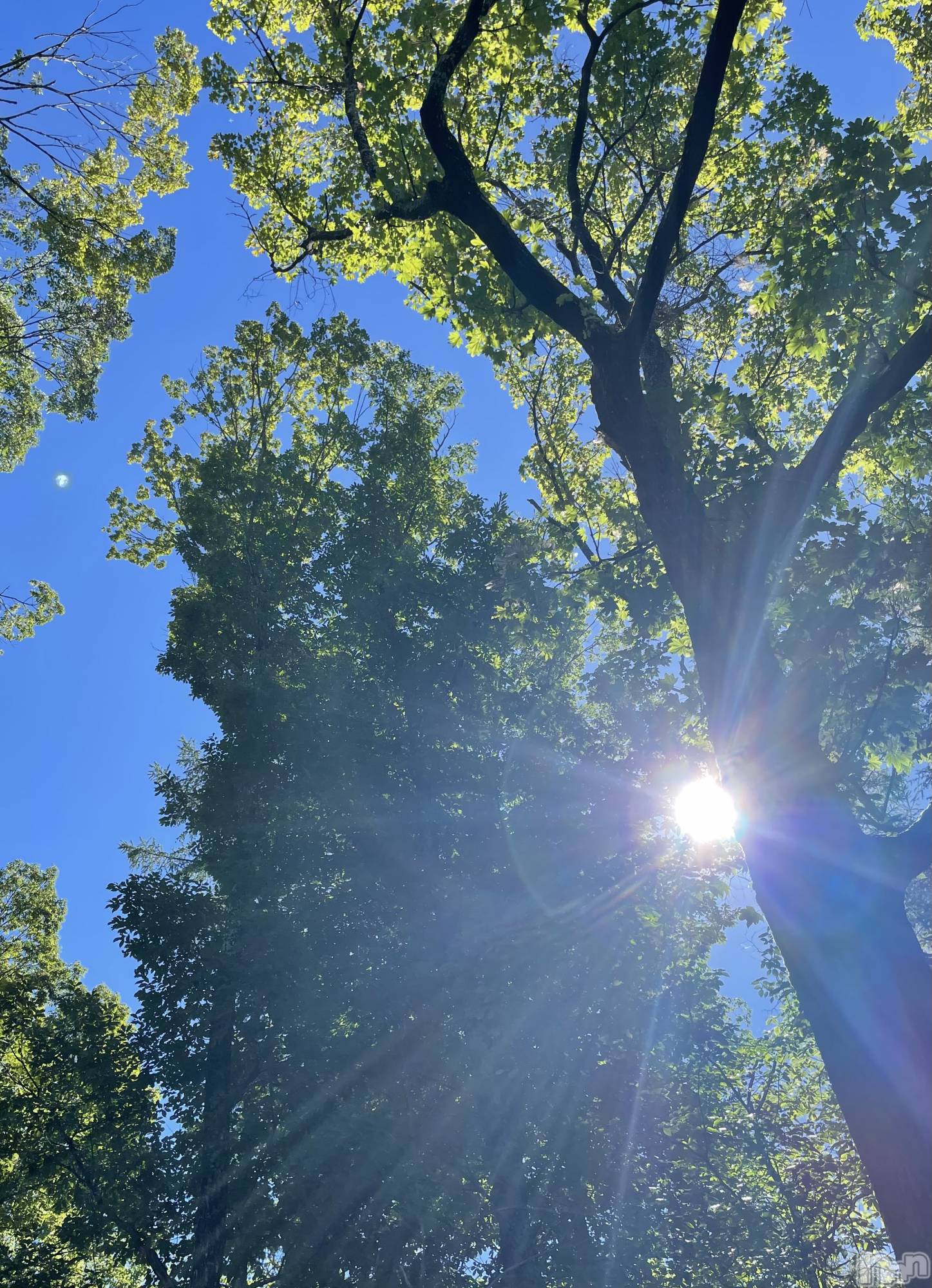 ��ë����Х��顦�����CLUB��Paladin(����֡��ѥ�ǥ���) ��2023ǯ7��28���̥�֥�����🌱𓂃 𓈒𓏸��