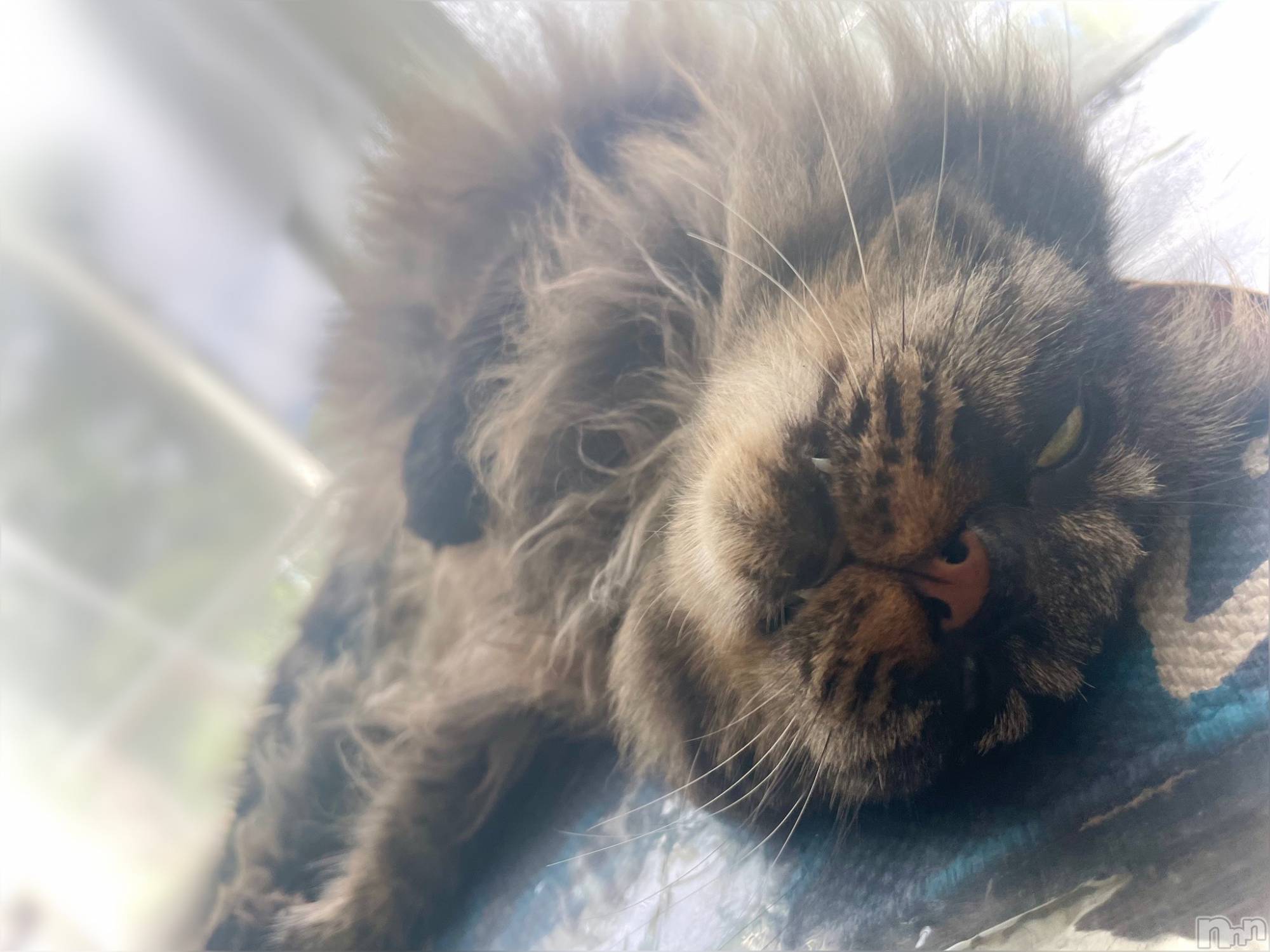 ��ë����Х��顦�����CLUB��Paladin(����֡��ѥ�ǥ���) ��2023ǯ10��4���̥�֥�����☀️𓈒𓏸��