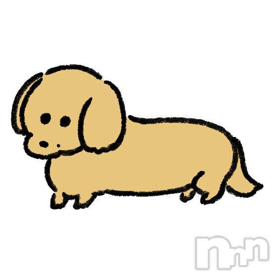 ��ë����Х��顦�����CLUB��Paladin(����֡��ѥ�ǥ���) ��2023ǯ11��29���̥�֥�����ฅ🐾��