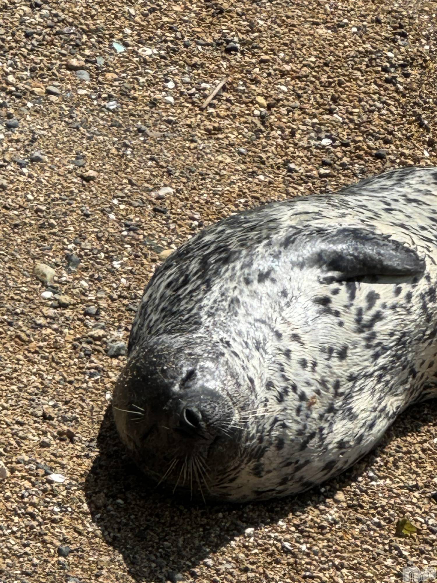 ��ë����Х��顦�����CLUB��Paladin(����֡��ѥ�ǥ���) ��2024ǯ6��14���̥�֥�����☀️��