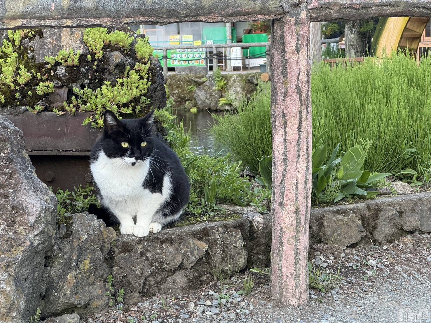 ��ë����Х��顦�����CLUB��Paladin(����֡��ѥ�ǥ���) ��2024ǯ6��16���̥�֥�����❁⃘*.�ߡ�