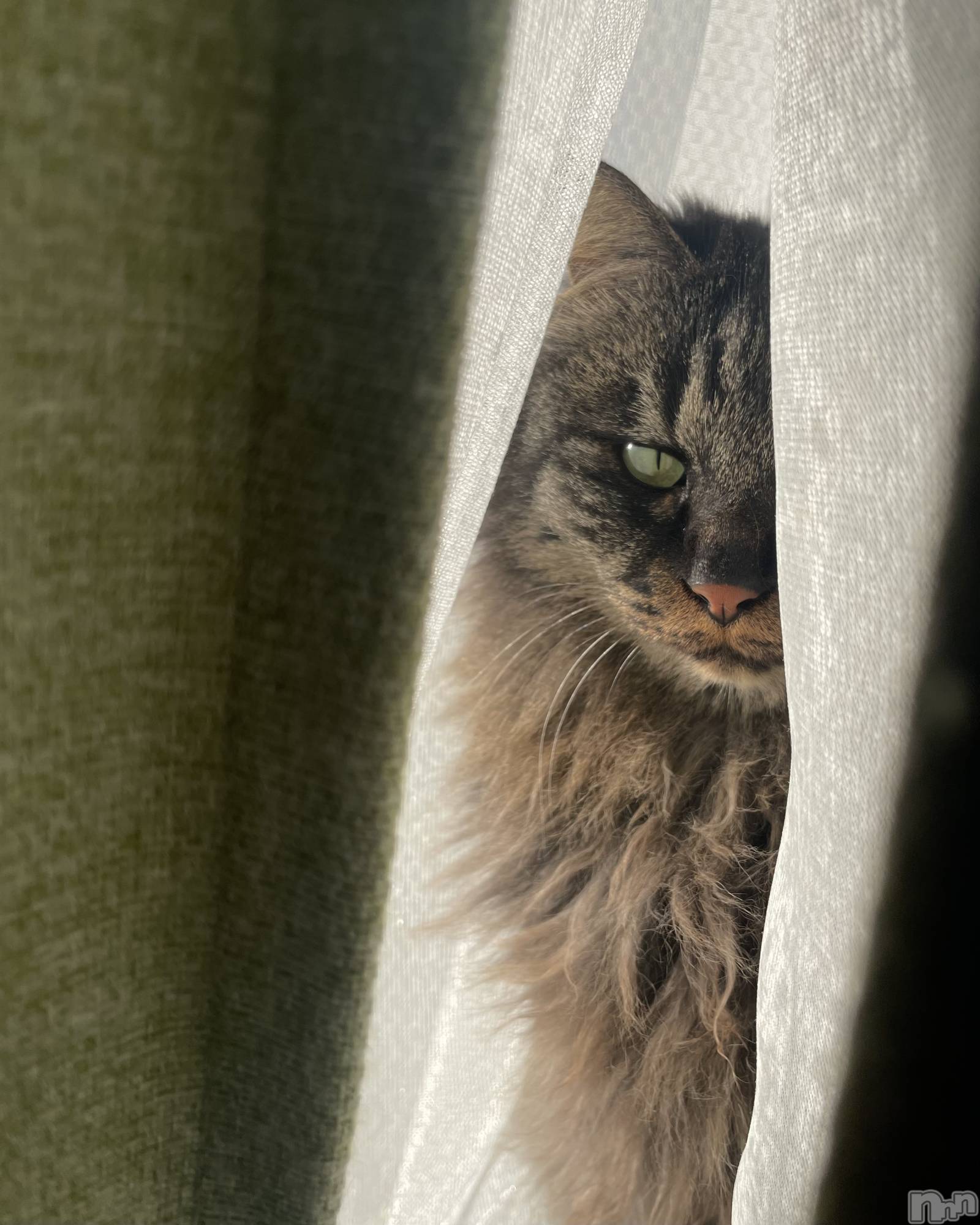 ��ë����Х��顦�����CLUB��Paladin(����֡��ѥ�ǥ���) ��2024ǯ6��23���̥�֥�����6��23�� 22��52ʬ�Υ֥�����