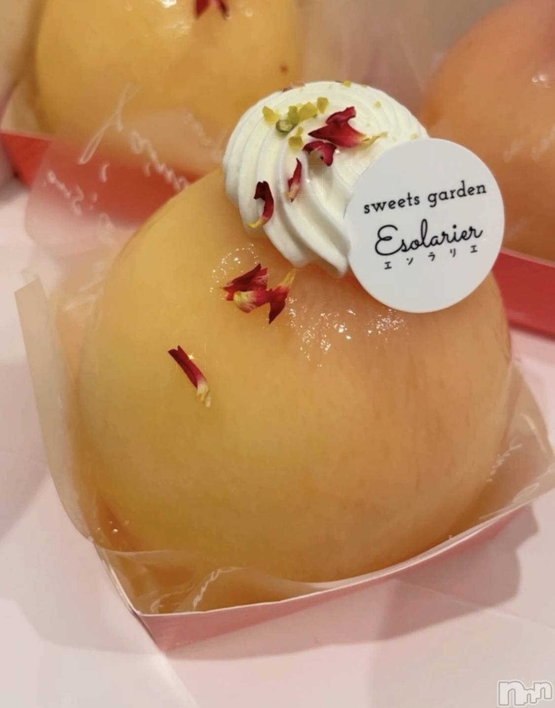 ��ë����Х��顦�����CLUB��Paladin(����֡��ѥ�ǥ���) ��2024ǯ7��22���̥�֥�����|��🍑�����꒳​���)�ӎӎ���