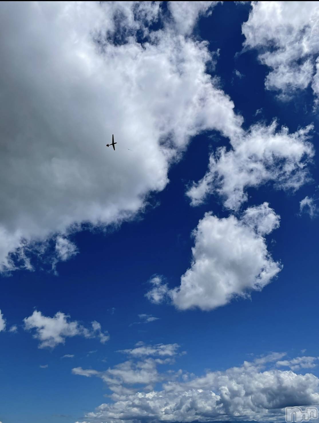 ��ë����Х��顦�����CLUB��Paladin(����֡��ѥ�ǥ���) ��2024ǯ8��4���̥�֥�����💭⋆꙳��