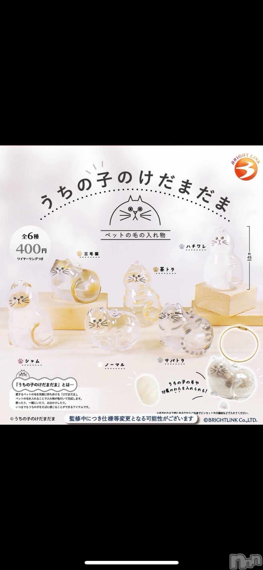 ��ë����Х��顦�����CLUB��Paladin(����֡��ѥ�ǥ���) ��2025ǯ2��7���̥�֥�����🐱ྀི🐱ྀི🐱ྀི��