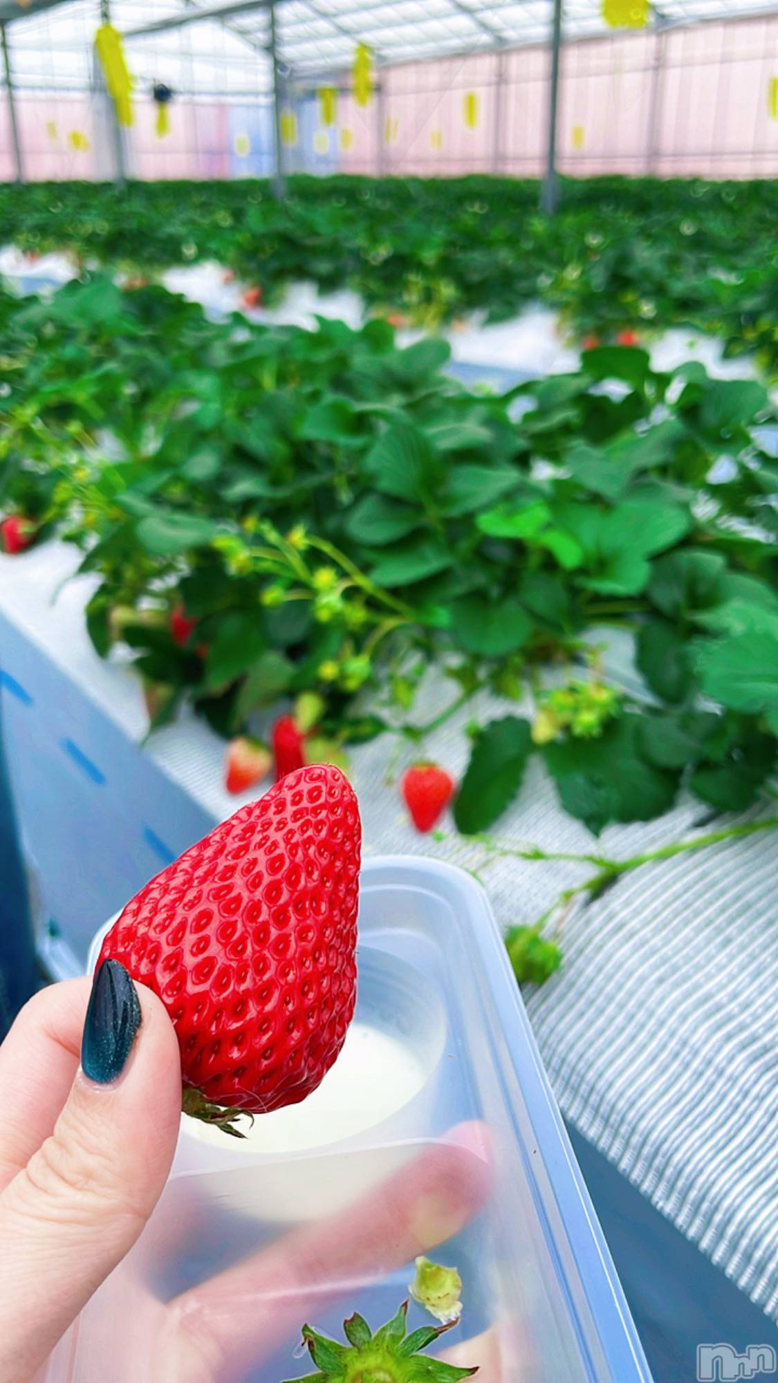 ��ë����Х��顦�����CLUB��Paladin(����֡��ѥ�ǥ���) ��2025ǯ3��13���̥�֥�����🚶🍓��