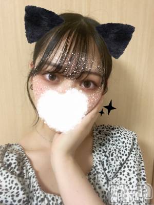 ʥå륺СVeronica-˥-(˥) 612ֽ̥֥ޤơ