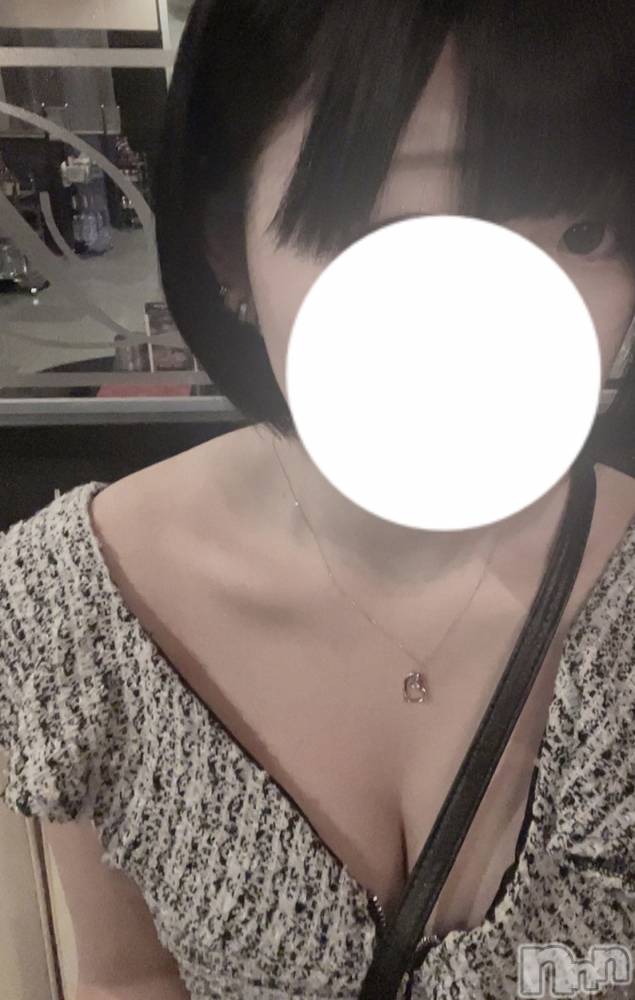 ĮХ顦֥ ץ ( ץ ) ࡡߤ줤616̥֥֤Ϥޤơ