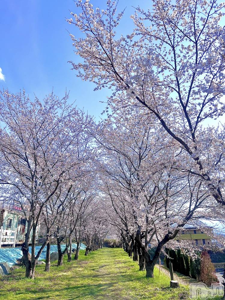 ĮХ顦֥ ץ ( ץ ) ࡡߤ줤414ֺ̥֥ޤǤ٤ߡ