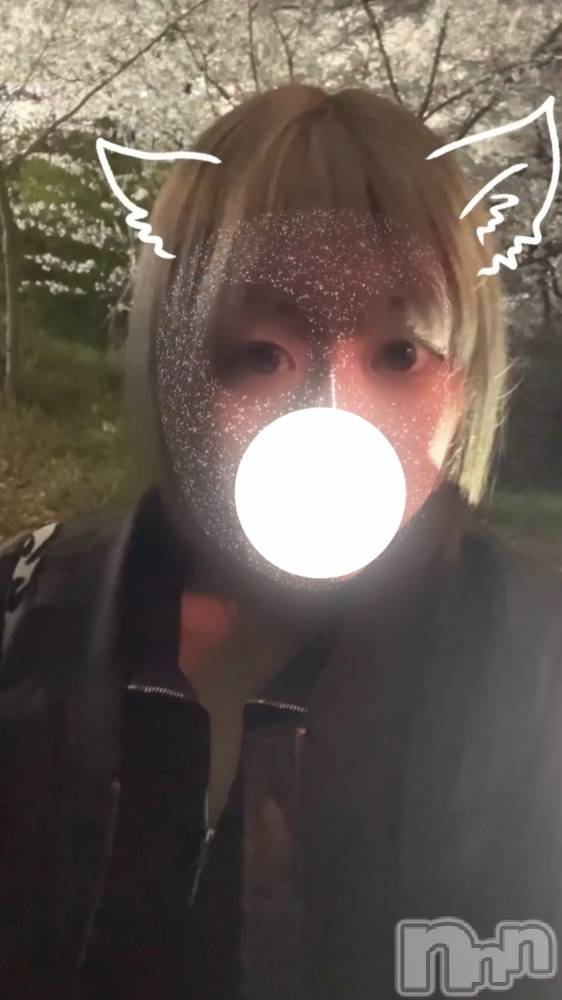 ĮХ顦֥ ץ ( ץ ) ࡡߤ줤415̥֥🌸🍻🏮