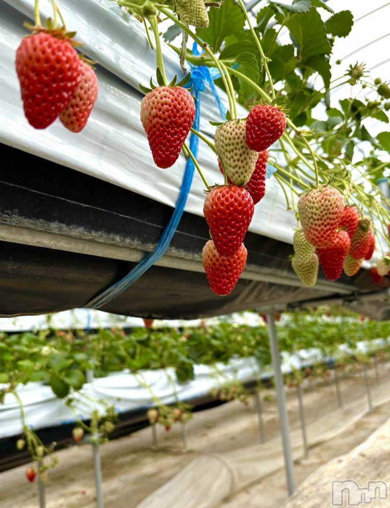ĮХ顦֥ ץ ( ץ ) ࡡߤ줤39̥֥🍓😋