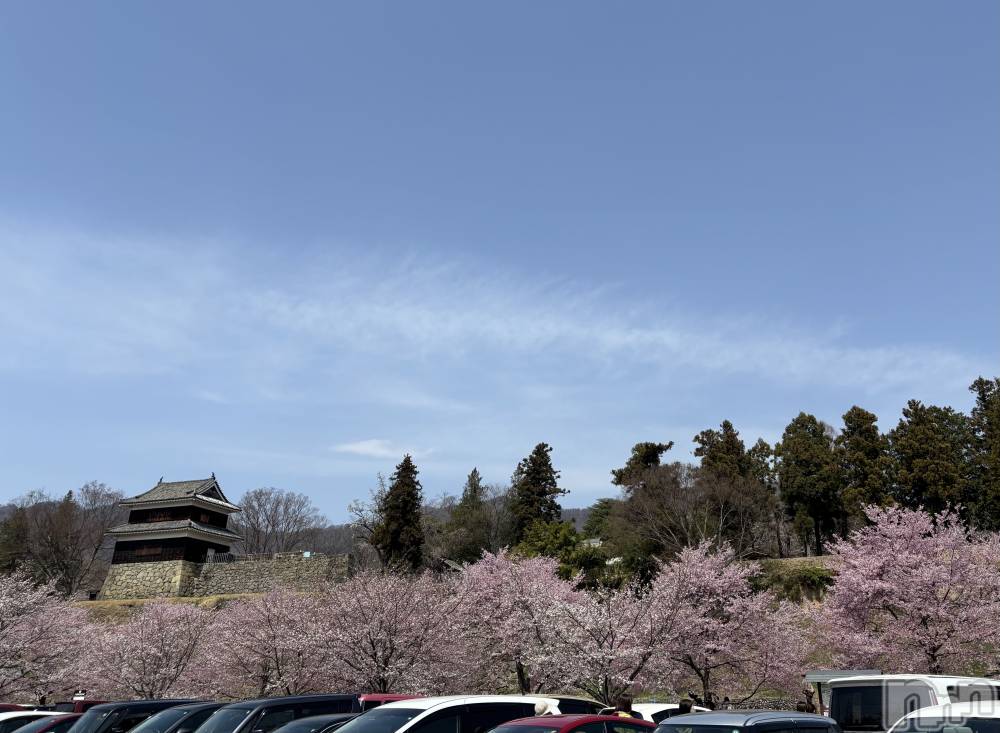 ĮХ顦֥ ץ ( ץ ) ࡡߤ줤48̥֥🏯🌸