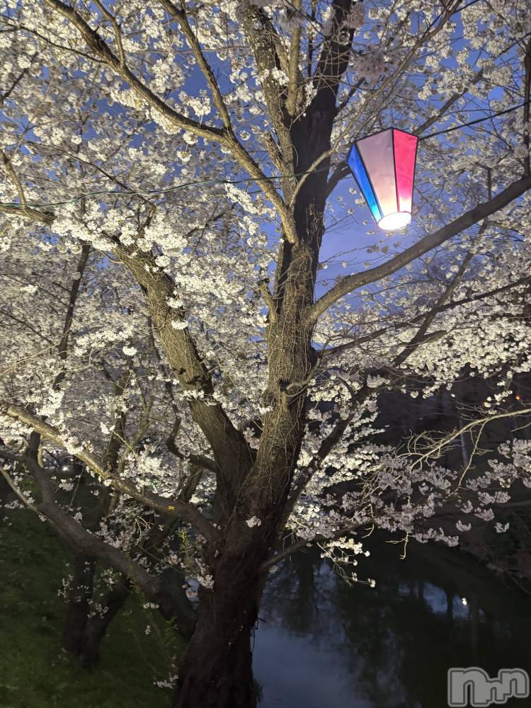 ĮХ顦֥ ץ ( ץ ) ࡡߤ줤411̥֥🌸🍡