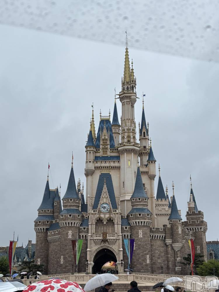 ĮХ顦֥ ץ ( ץ ) ࡡߤ줤613̥֥🐭🏰‪‪