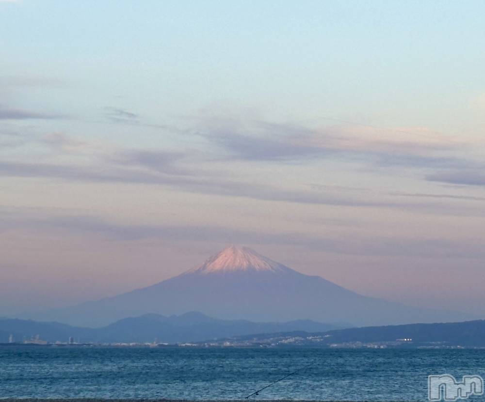 ��Į����Х��顦����֥���� �ץ���� ����(����� �ץ���� ������) ���ࡡ�ߤ줤��2��4���̥�֥�����🗻🌊��