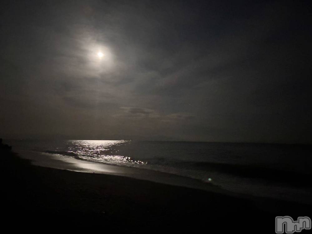 ��Į����Х��顦����֥���� �ץ���� ����(����� �ץ���� ������) ���ࡡ�ߤ줤��2��8���̥�֥�����🌕��