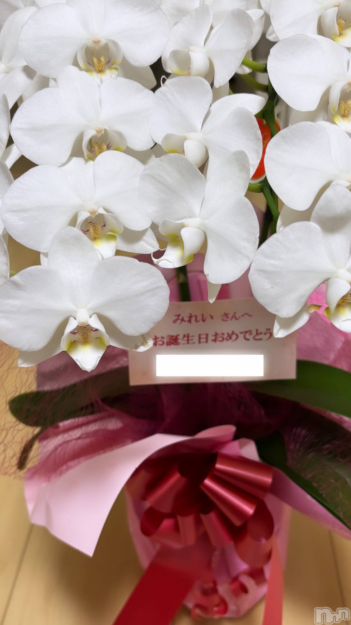ĮХ顦֥ ץ ( ץ ) 2024ǯ64̥֥🌸🌷