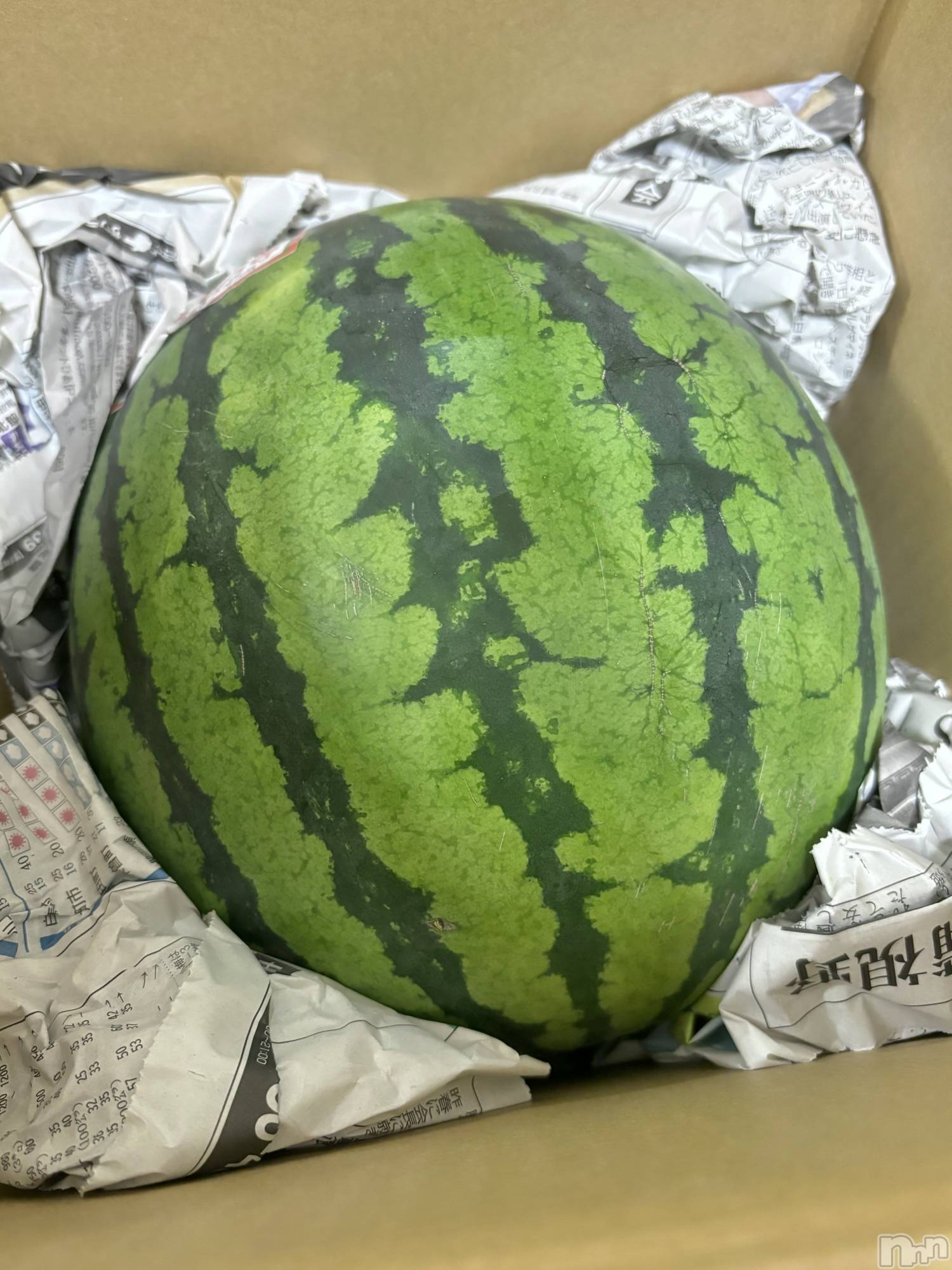 ĮХ顦֥ ץ ( ץ ) 2024ǯ79̥֥🍉✨️