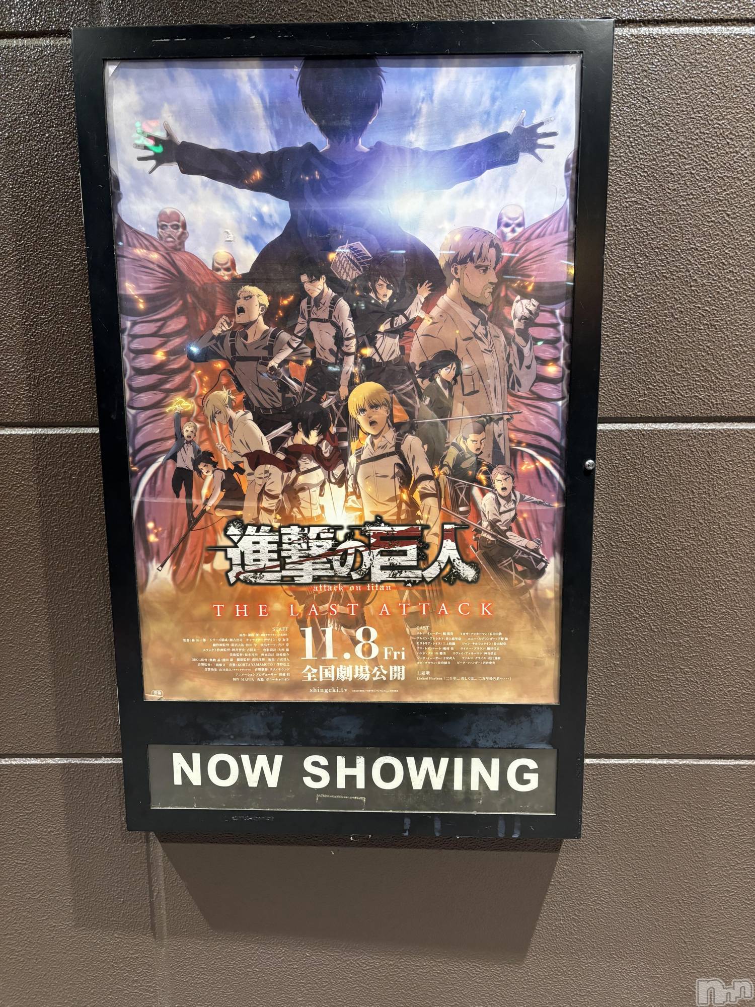 ĮХ顦֥ ץ ( ץ ) 2024ǯ1118̥֥🍿🎬