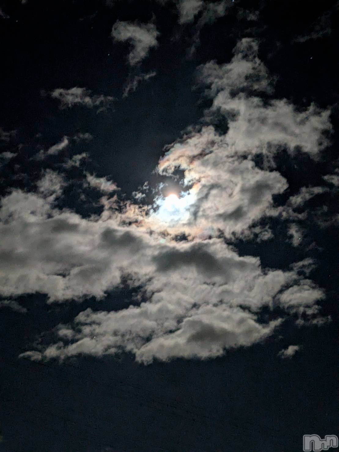 ĮХ顦֥ ץ ( ץ ) 2024ǯ1218̥֥🌕☁️