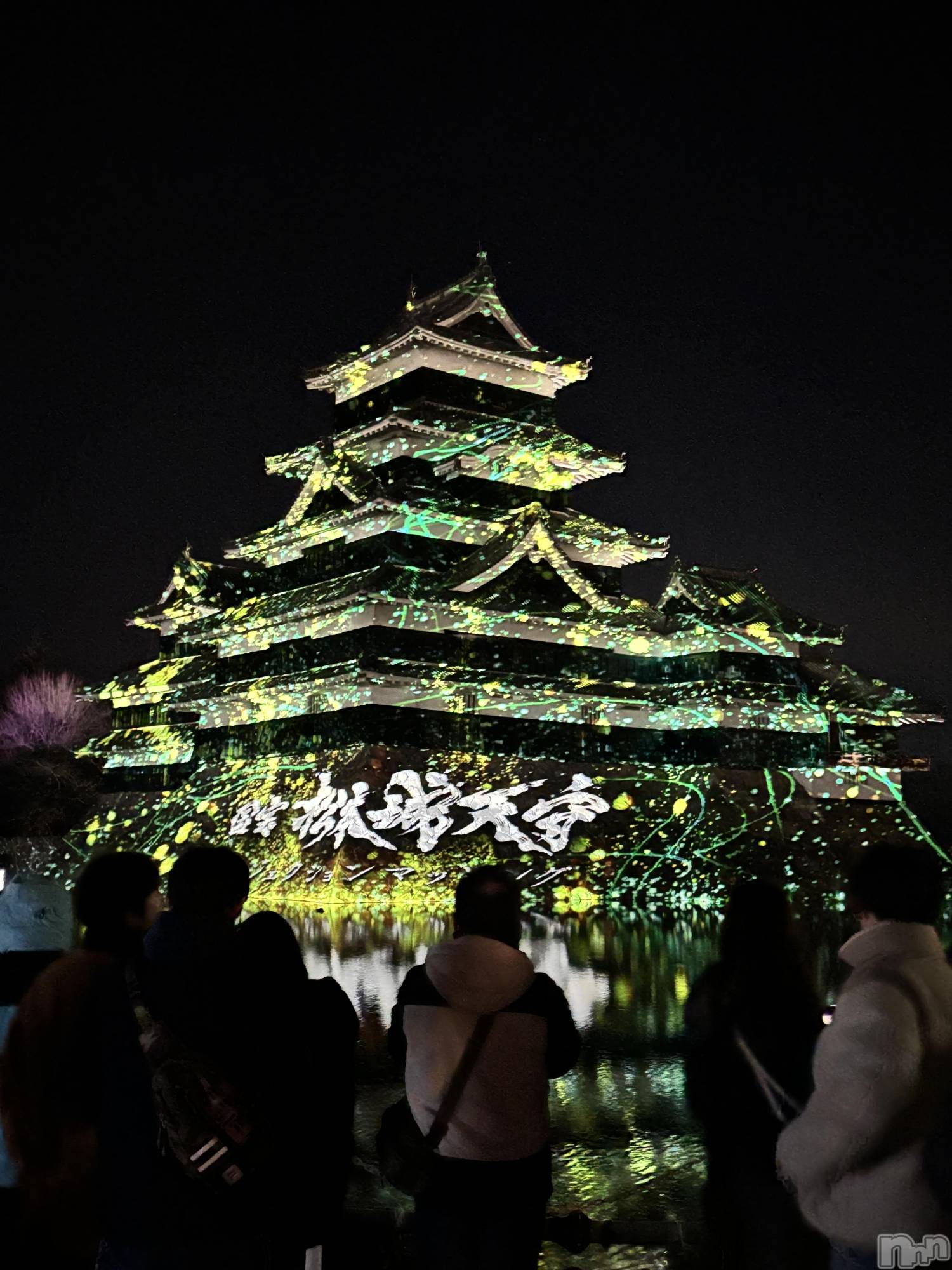 ĮХ顦֥ ץ ( ץ ) 2025ǯ224̥֥🏯💡