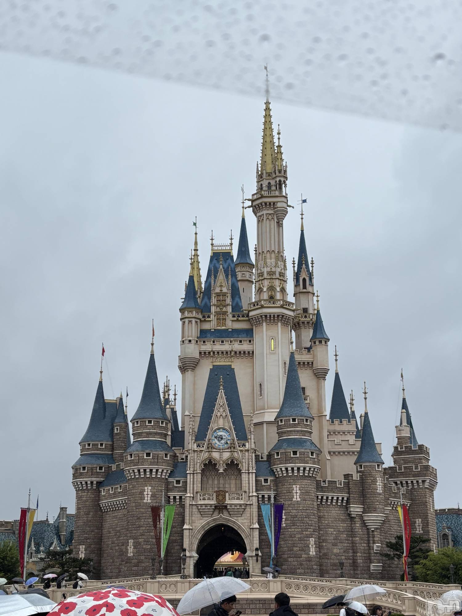 ĮХ顦֥ ץ ( ץ ) 2025ǯ613̥֥🐭🏰‪‪