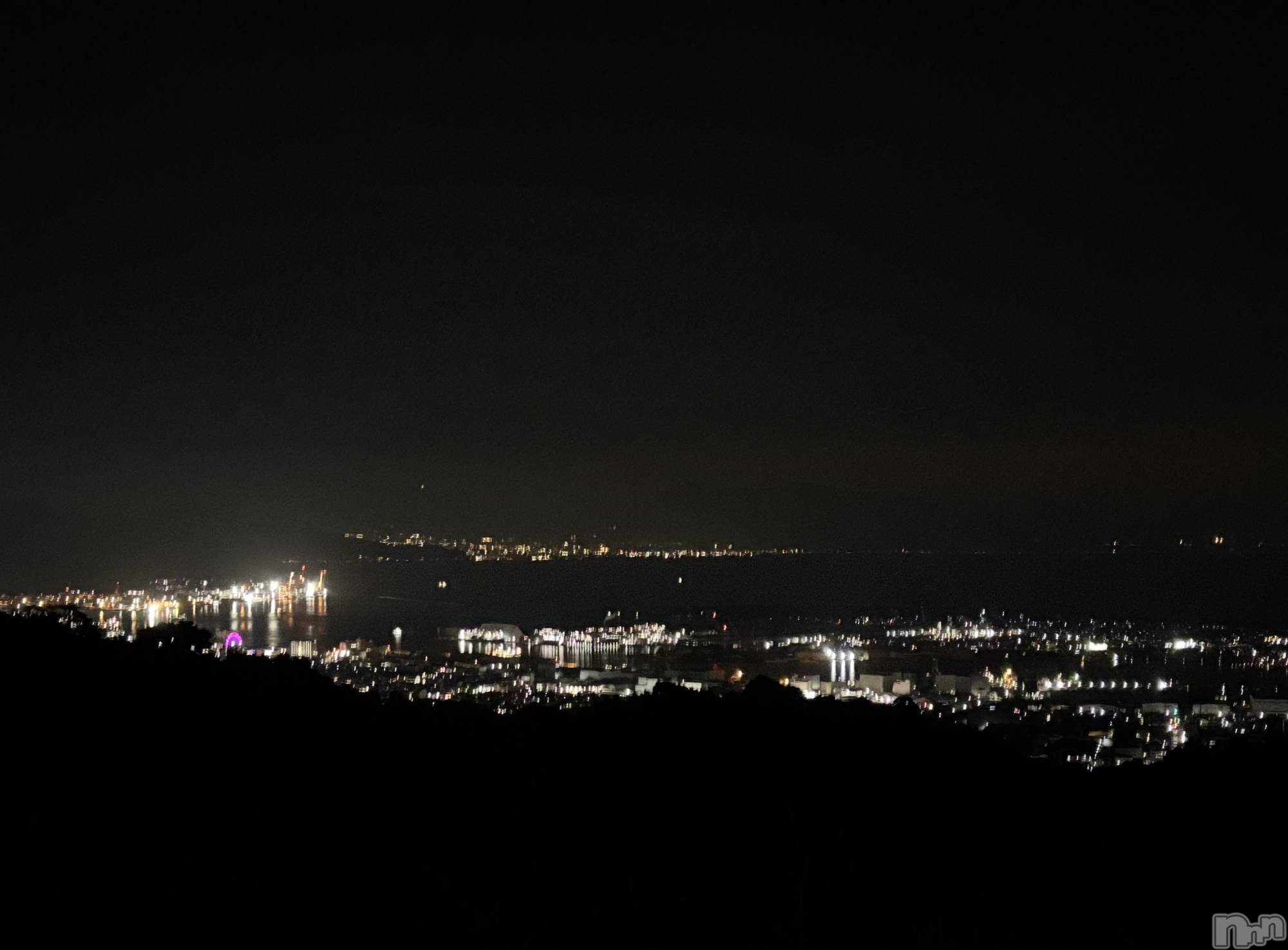 ��Į����Х��顦����֥���� �ץ���� ����(����� �ץ���� ������) ��2026ǯ2��5���̥�֥�����✨��