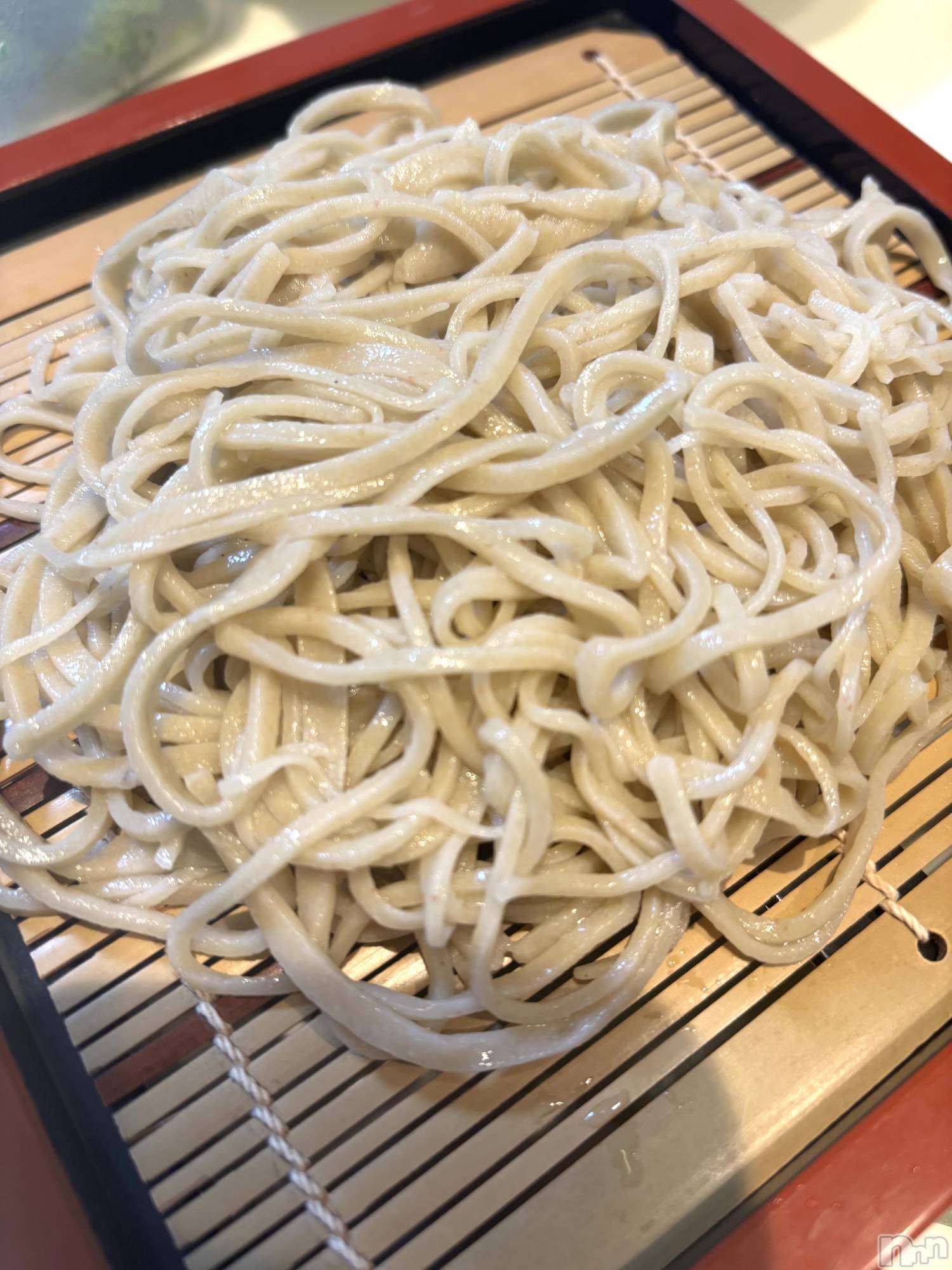 ��Į����Х��顦����֥���� �ץ���� ����(����� �ץ���� ������) ��2026ǯ3��8���̥�֥�����🌱‬‪��