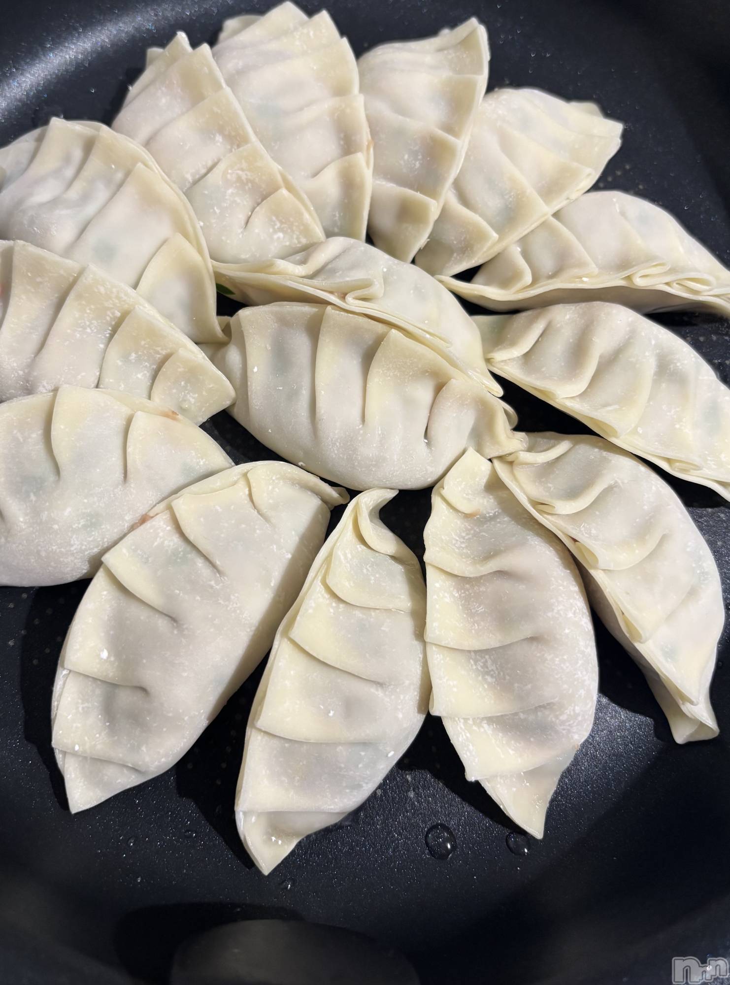 ��Į����Х��顦����֥���� �ץ���� ����(����� �ץ���� ������) ��2026ǯ3��24���̥�֥�����🥟🥟🥟��