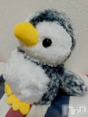 ĮХ顦֥ ץ ( ץ ) ࡡߤ줤(21)330̥֥🐧💕
