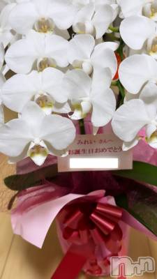 ĮХ顦֥ ץ ( ץ ) ࡡߤ줤(21)64̥֥🌸🌷
