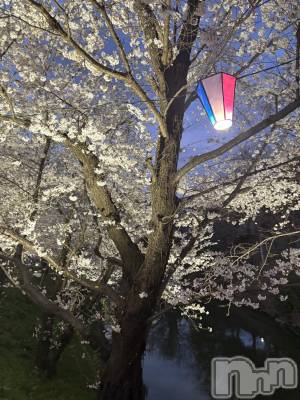 ĮХ顦֥ ץ ( ץ ) ࡡߤ줤(21)411̥֥🌸🍡